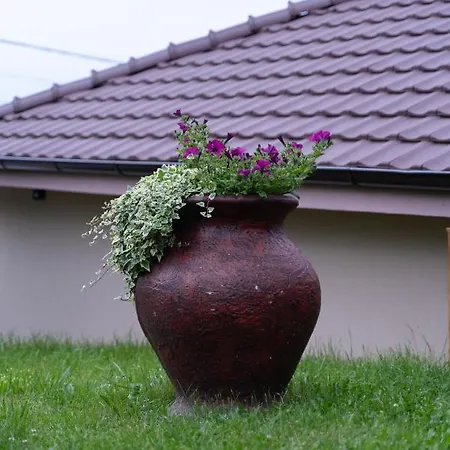 Jedro - Sa Garaznim Parkingom * Vrnjačka Banja