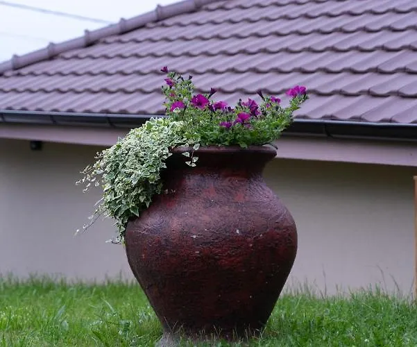 Jedro - Sa Garaznim Parkingom * Vrnjačka Banja