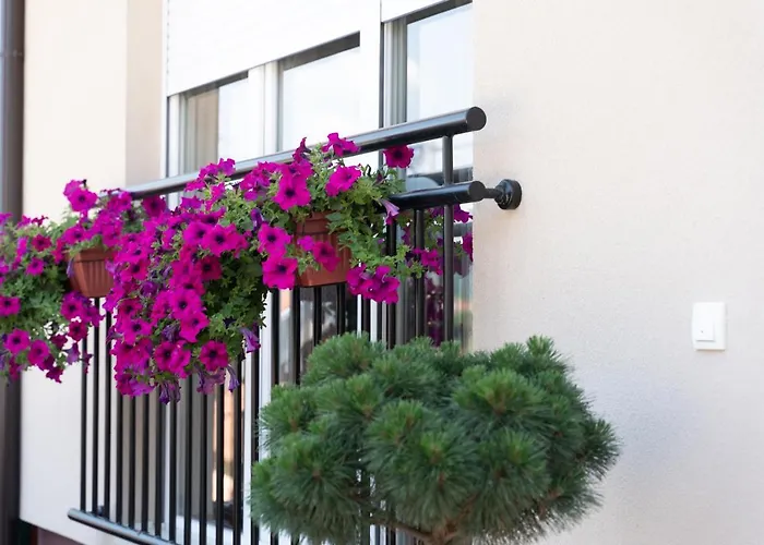 Jedro - Sa Garaznim Parkingom Vrnjačka Banja